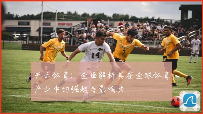 开云体育：全面解析其在全球体育产业中的崛起与影响力