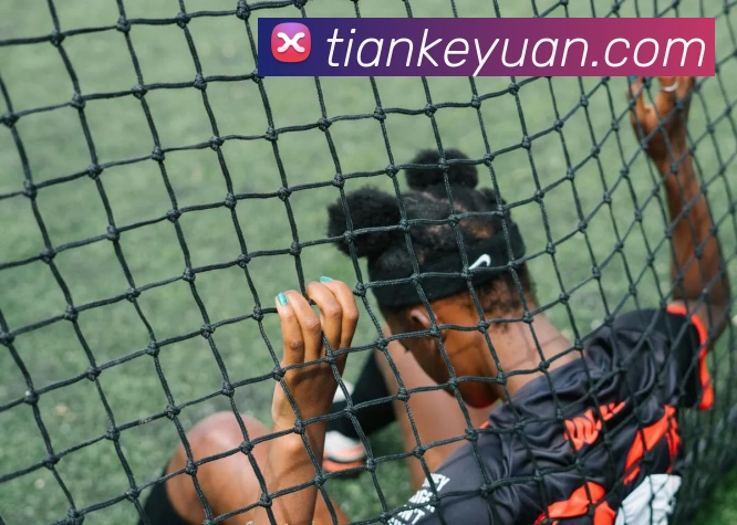 开云appAPP 体育赛事宣传图